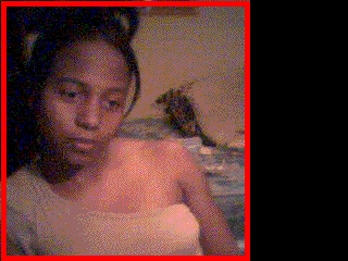 Bitmap Image
